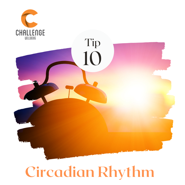 Circadian Rhythm