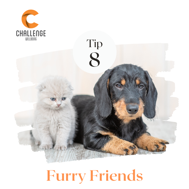 Furry Friends